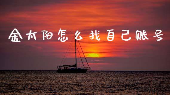 金太阳怎么找自己账号_https://wap.78312.cn_全球市场_第1张