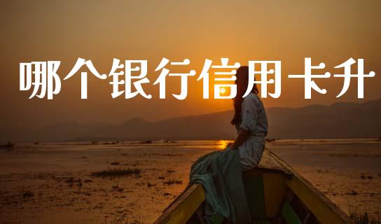 哪个银行信用卡升_https://wap.78312.cn_金融监管_第1张