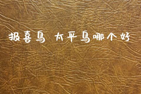 报喜鸟 太平鸟哪个好_https://wap.78312.cn_金融监管_第1张