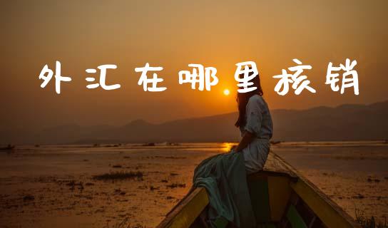 外汇在哪里核销_https://wap.78312.cn_金融监管_第1张