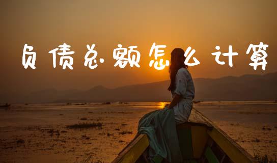 负债总额怎么计算_https://wap.78312.cn_债券资讯_第1张