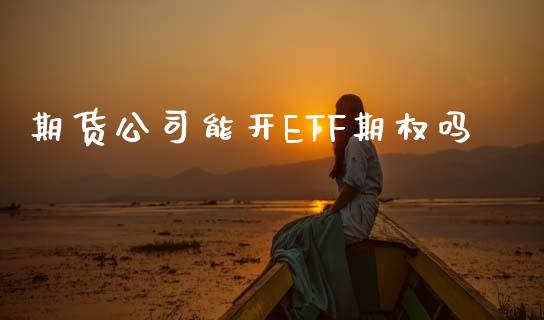 期货公司能开ETF期权吗_https://wap.78312.cn_财经新闻_第1张