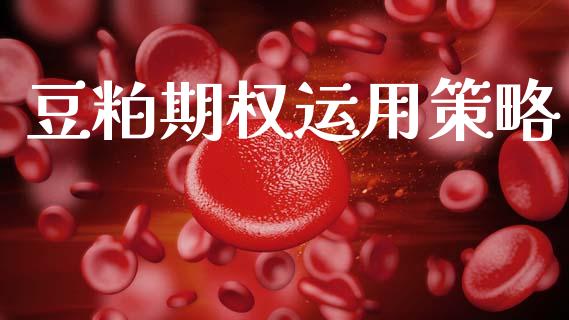 豆粕期权运用策略_https://wap.78312.cn_金融监管_第1张