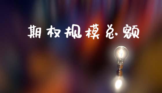期权规模总额_https://wap.78312.cn_债券资讯_第1张