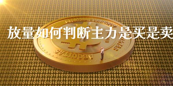 放量如何判断主力是买是卖_https://wap.78312.cn_外汇交易_第1张