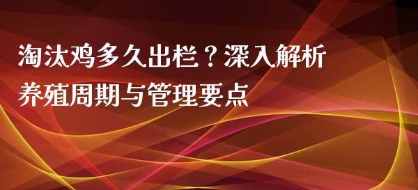 淘汰鸡多久出栏？深入解析养殖周期与管理要点_https://wap.78312.cn_期货开户_第1张