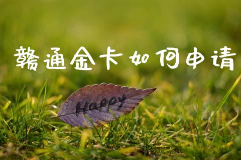 赣通金卡如何申请_https://wap.78312.cn_金融监管_第1张