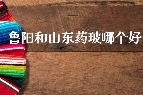 鲁阳和山东药玻哪个好_https://wap.78312.cn_债券资讯_第1张