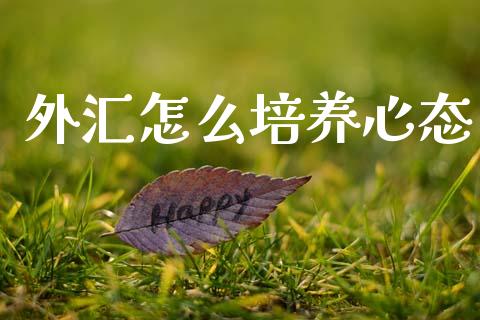 外汇怎么培养心态_https://wap.78312.cn_全球市场_第1张