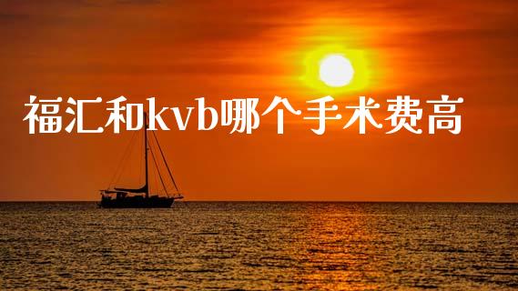 福汇和kvb哪个手术费高_https://wap.78312.cn_债券资讯_第1张