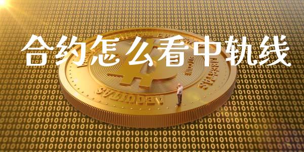 合约怎么看中轨线_https://wap.78312.cn_外汇交易_第1张