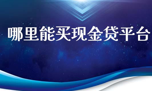 哪里能买现金贷平台_https://wap.78312.cn_外汇交易_第1张
