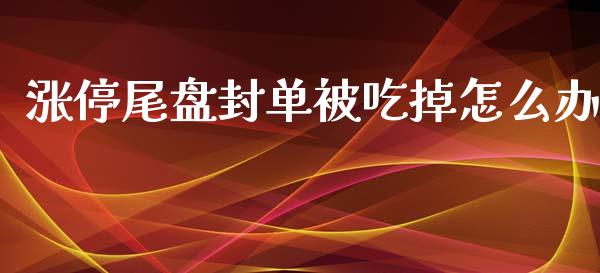 涨停尾盘封单被吃掉怎么办_https://wap.78312.cn_全球市场_第1张