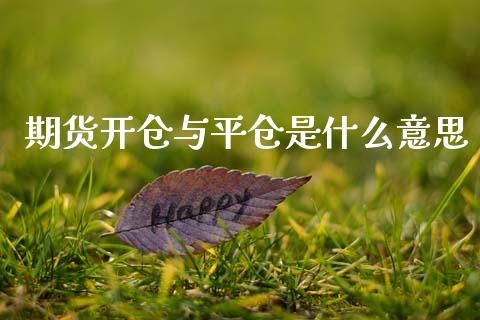 期货开仓与平仓是什么意思_https://wap.78312.cn_债券资讯_第1张