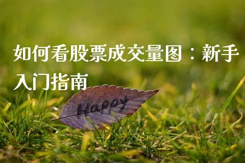 如何看股票成交量图：新手入门指南_https://wap.78312.cn_全球市场_第1张