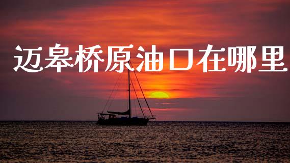 迈皋桥原油口在哪里_https://wap.78312.cn_期货开户_第1张