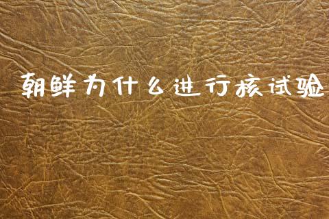 朝鲜为什么进行核试验_https://wap.78312.cn_全球市场_第1张