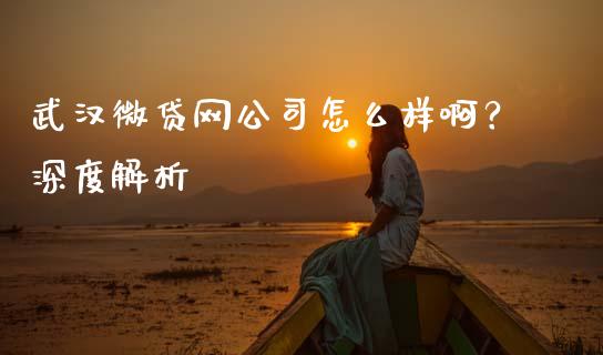 武汉微贷网公司怎么样啊？深度解析_https://wap.78312.cn_财经新闻_第1张
