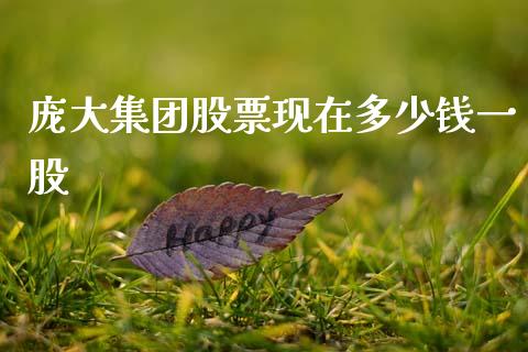 庞大集团股票现在多少钱一股_https://wap.78312.cn_金融监管_第1张