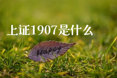 上证1907是什么_https://wap.78312.cn_债券资讯_第1张