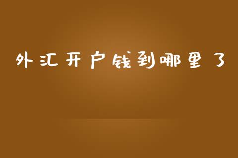 外汇开户钱到哪里了_https://wap.78312.cn_债券资讯_第1张
