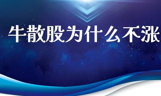 牛散股为什么不涨_https://wap.78312.cn_全球市场_第1张