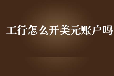工行怎么开美元账户吗_https://wap.78312.cn_外汇交易_第1张