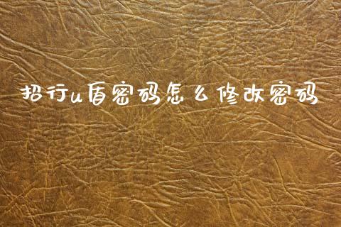 招行u盾密码怎么修改密码_https://wap.78312.cn_债券资讯_第1张