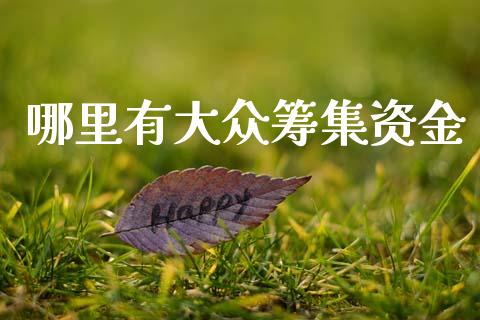 哪里有大众筹集资金_https://wap.78312.cn_期货开户_第1张