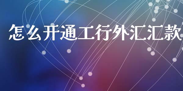 怎么开通工行外汇汇款_https://wap.78312.cn_金融监管_第1张