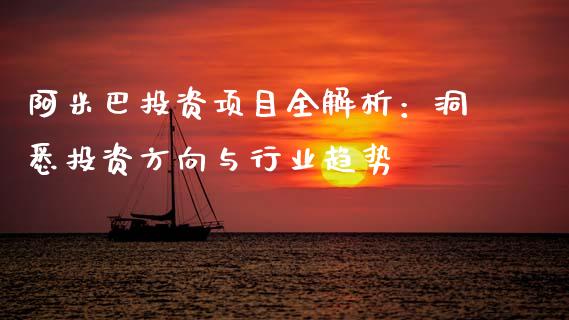 阿米巴投资项目全解析：洞悉投资方向与行业趋势_https://wap.78312.cn_全球市场_第1张