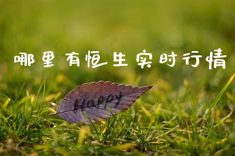 哪里有恒生实时行情_https://wap.78312.cn_外汇交易_第1张