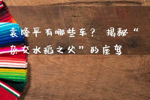 袁隆平有哪些车？ 揭秘“杂交水稻之父”的座驾_https://wap.78312.cn_全球市场_第1张