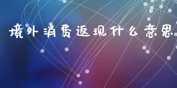 境外消费返现什么意思_https://wap.78312.cn_金融监管_第1张