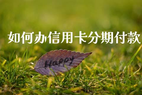 如何办信用卡分期付款_https://wap.78312.cn_全球市场_第1张