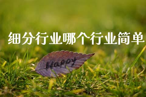 细分行业哪个行业简单_https://wap.78312.cn_金融监管_第1张