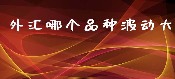 外汇哪个品种波动大_https://wap.78312.cn_金融监管_第1张