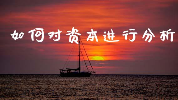 如何对资本进行分析_https://wap.78312.cn_金融监管_第1张