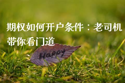 期权如何开户条件：老司机带你看门道_https://wap.78312.cn_全球市场_第1张