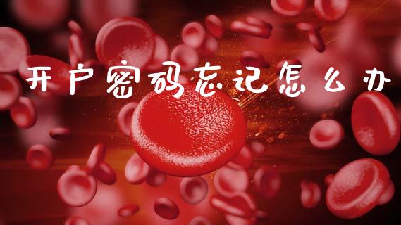 开户密码忘记怎么办_外汇交易_第1张_期货开户_金融监管_外汇交易_债券资讯_全球市场_财经新闻 开户密码忘记怎么办_https://wap.78312.cn_外汇交易_第1张