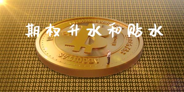 期权升水和贴水_https://wap.78312.cn_外汇交易_第1张