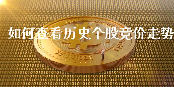 如何查看历史个股竞价走势_https://wap.78312.cn_外汇交易_第1张