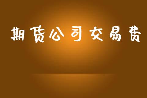 期货公司交易费_https://wap.78312.cn_外汇交易_第1张