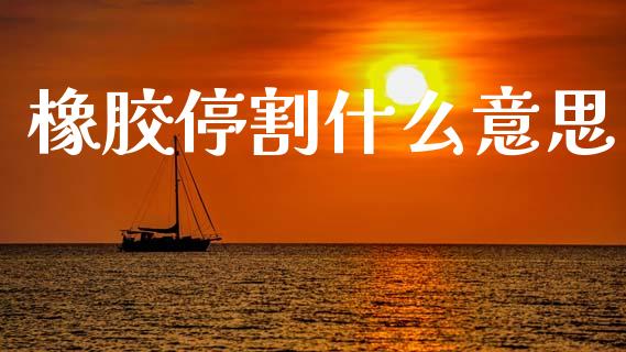 橡胶停割什么意思_https://wap.78312.cn_债券资讯_第1张