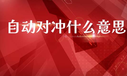 自动对冲什么意思_https://wap.78312.cn_全球市场_第1张