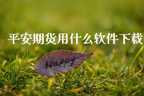 平安期货用什么软件下载_https://wap.78312.cn_全球市场_第1张