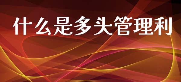 什么是多头管理利_https://wap.78312.cn_金融监管_第1张