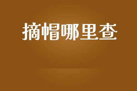 摘帽哪里查_https://wap.78312.cn_外汇交易_第1张