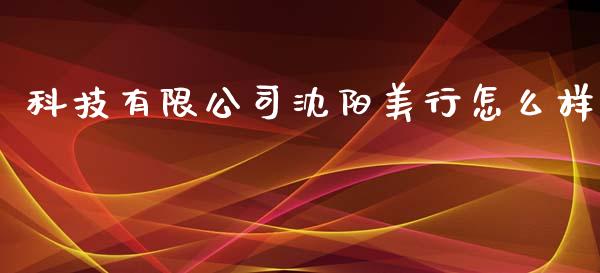 科技有限公司沈阳美行怎么样_https://wap.78312.cn_财经新闻_第1张