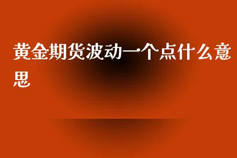 黄金期货波动一个点什么意思_https://wap.78312.cn_金融监管_第1张